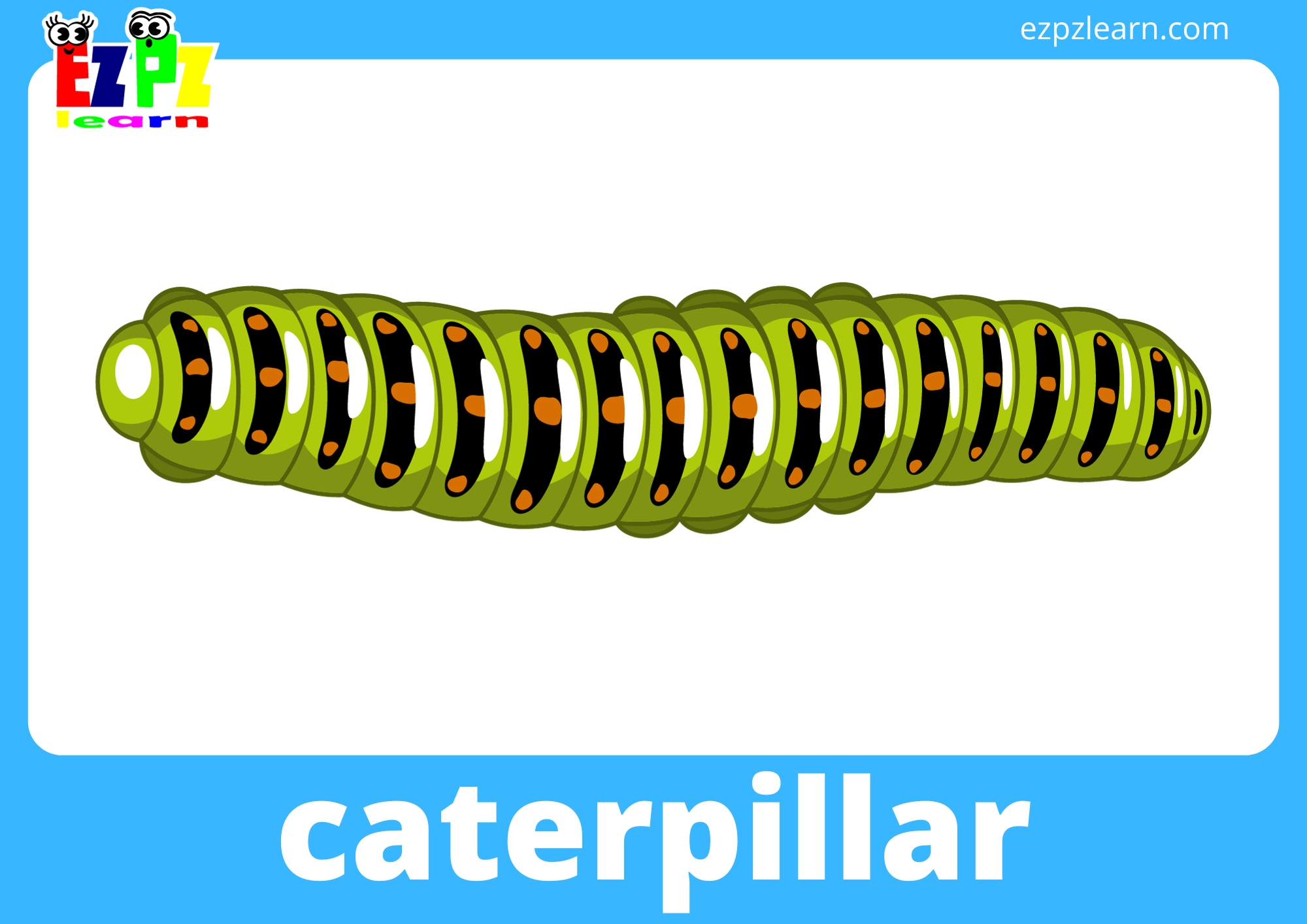 caterpiller